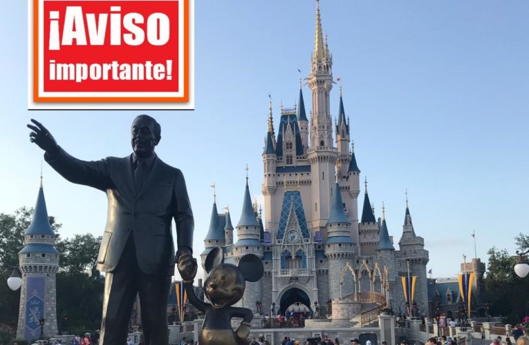 📢¡¡Ultimas noticias de Disney!!!!! 🚨⁣⁣ Novedades muy importantes !!